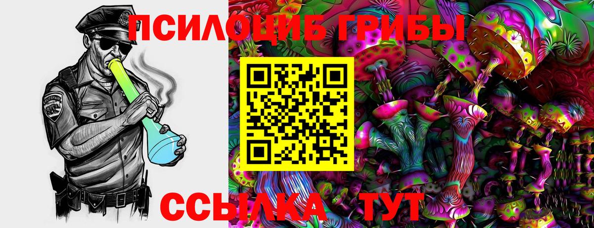 как найти наркотики  Псилоцибиновые грибы мухоморы  Вход с VPN  Псилоцибиновые грибы мицелий  Урус-Мартан 